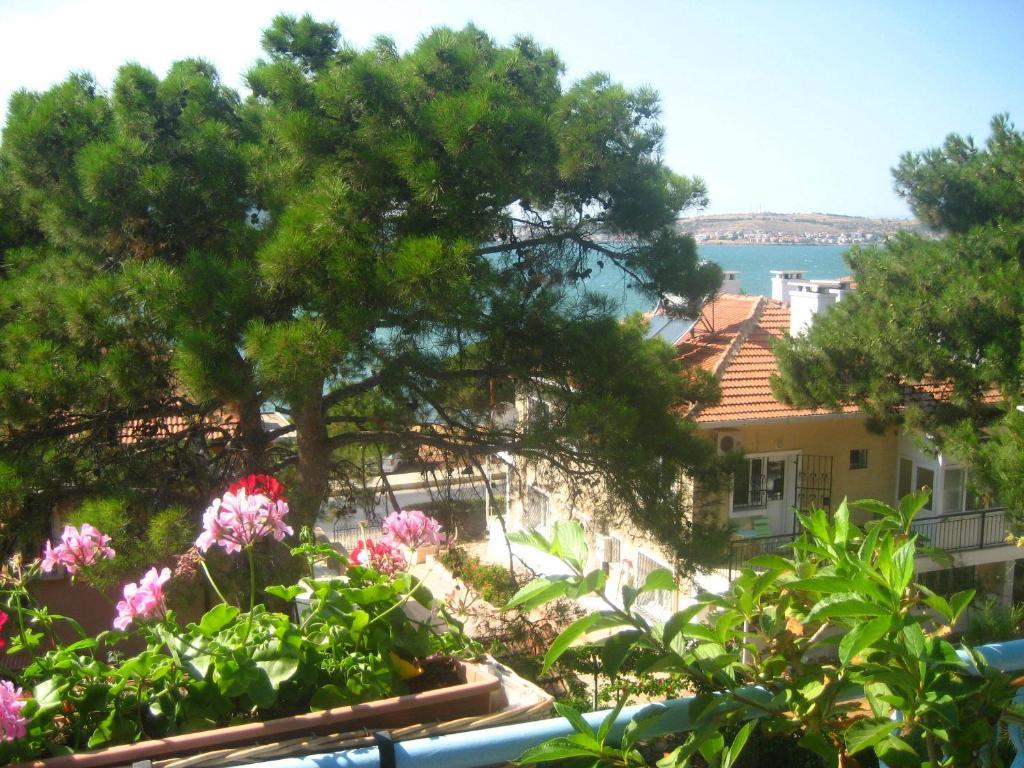 Mavi Pension Hotell Ayvalı Eksteriør bilde