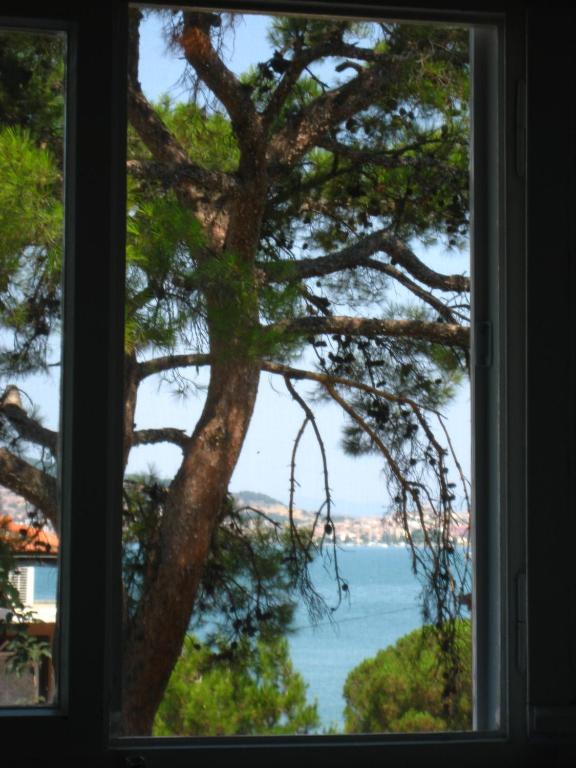 Mavi Pension Hotell Ayvalı Eksteriør bilde